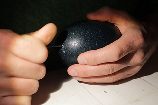 Safety Holes Could Save Our Most Endangered Birds, even GIB!