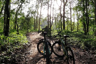 Mountain Biking and Why I Love (the idea of) It