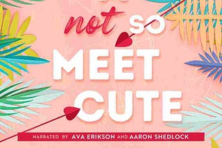 Audiobook Free: A Not So Meet Cute Plot Summary, Review, Chapters Recap