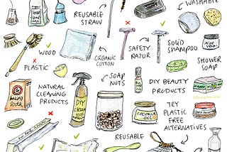 A Beginner’s Guide to Sustainability