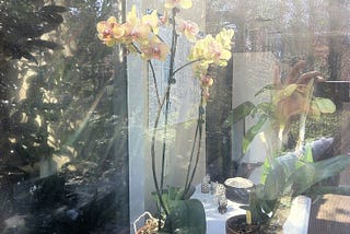 in this noisiest city and biggest world, all we need is just a peace of mind.