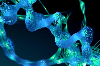 Guiding Synthetic Biology for Conservation and Communities