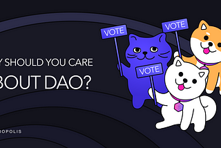 Why Should You Care About DAO?