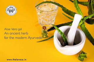 Aloe Vera gel- An ancient herb for the modern Ayurveda