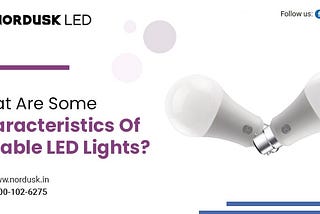 What Are Some Characteristics Of Durable LED Lights?