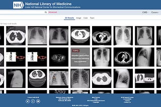 Top Open Healthcare Datasets (Global + Indian), and What Engineers Can Build With Them