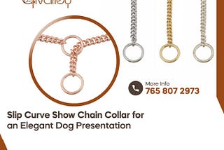 Finding the Perfect Dog Collar for Walking and Show