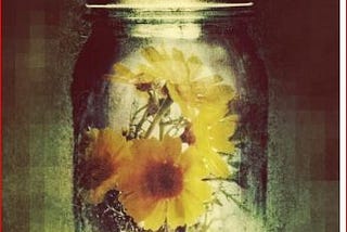 “Awaken” by Katie Kacvinsky