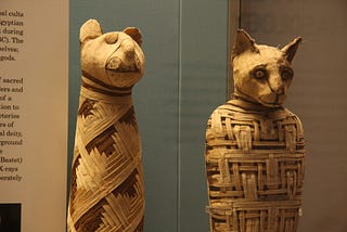 Animal mummies in the British Museum (https://commons.wikimedia.org/wiki/File:British_museum,_Egypt_mummies_of_animals_(4423733728).jpg).