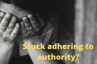 Social compliance and the risk associated with adhering to authority