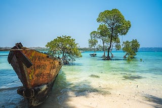 Andaman tour package from Kochi Kerala