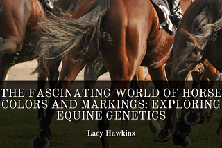 The Fascinating World of Horse Colors and Markings: Exploring Equine Genetics