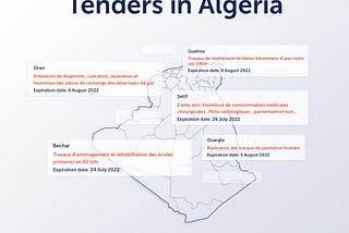 Tender Process in Algeria: Your Essential Guide