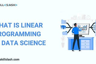What is Linear Programming in Data Science: Overview