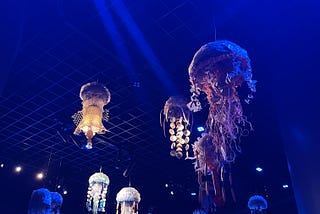 A smack of jellyfish made of repurposed ocean plastic hang at the New York Aquarium