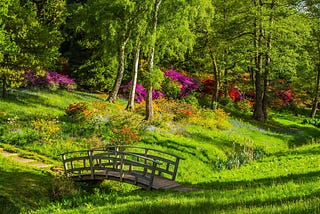 Curved wooden bridge in very green park with fuschia shrubs