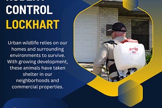 Reliable Rodent Control in Lockhart: Safe and Effective Pest Management
