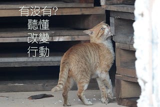 主管看待績效考核三大『有沒有』