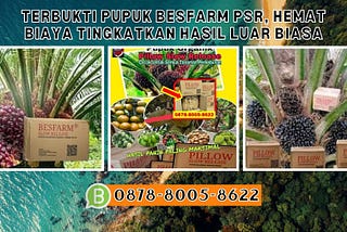 TERBUKTI, WA: 0878–8005–8622 Terpercaya Di Aceh Besar Jenis Pupuk Sawit