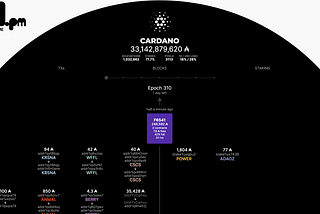 Understanding pool.pm — Cardano Blockchain Visualization