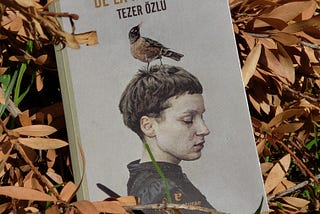 ‘Las frías noches de la infancia’ de Tezer Özlü: una escritora turca formidable