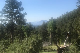 Exploring Colorado’s Homesteading History at Staunton State Park