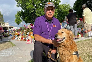 When there is trauma, a Dog can help