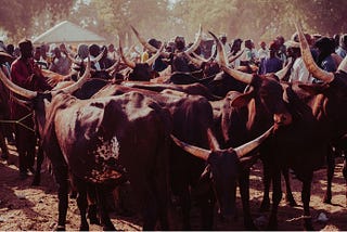 The Land That Drought Never Leaves