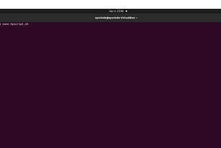 Shell Script Functions and Arguments