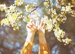remember flowers?