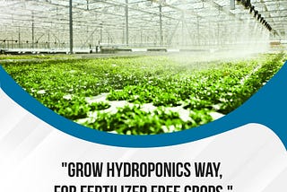 Hydroponic Farming