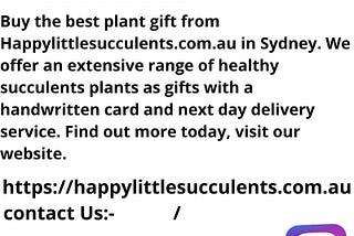 Plant Gift Delivery Sydney | Happylittlesucculents.com.au