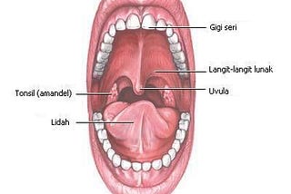 Inilah Cara Mengobati Radang Amandel Yang Sudah Parah Hanya Dengan Obat Herbal