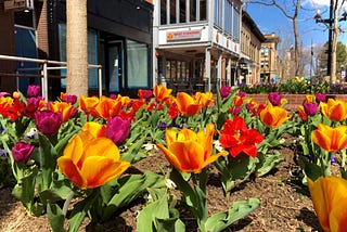 The Promise of Spring