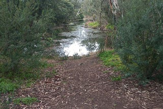 Werribee River Walk — Dog Park to Town