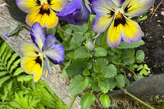May Breezes Spring inTune
