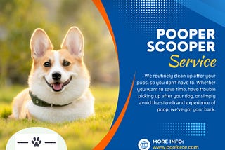 Pooper Scooper Service
