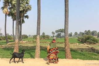 Into another Bihar — OOEW