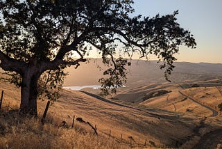 Welcome to “Golden Hour”