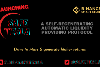 SafeTesla — Drive to Mars & generate higher returns