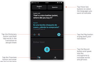 How to Use the iOS Translation App Like a Pro