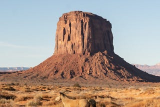 A Journey Through the Desert to Find the Meaning of Life