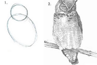 How to draw an owl meme. Step 1: draw some circles. Step 2: draw the rest of the (extremely detailed) owl