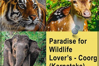 What makes Coorg a wildlife lover’s paradise?