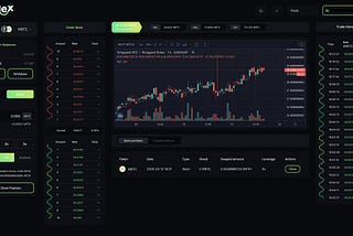UniMex the ultimate choice for the whale traders
