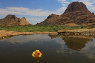 Playing With My Duck in the Dirty River
