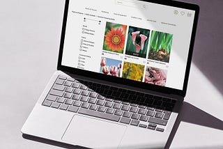 UX Case Study: E-Commerce Design for Local Garden Shop, ‘Blossom’