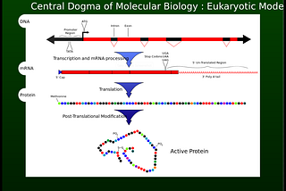 The Central Dogma Of Biology