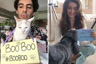 Shraddha Kapoor and Jim Sarbh come together to raise awareness on the plight of stray animals