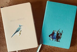 Why I Prefer Bullet Journal Classic vs Edition 2